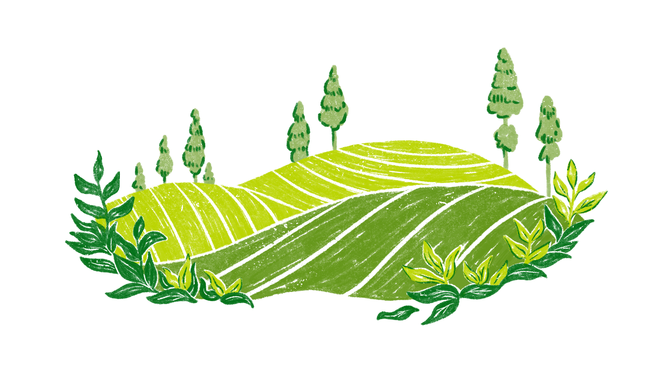 Tea hills illustration